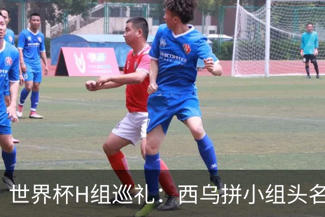 世界杯H组巡礼：西乌拼小组头名 沙特成X因素