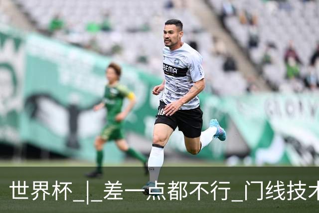 世界杯 | 差一点都不行 门线技术判定日本队并未进球