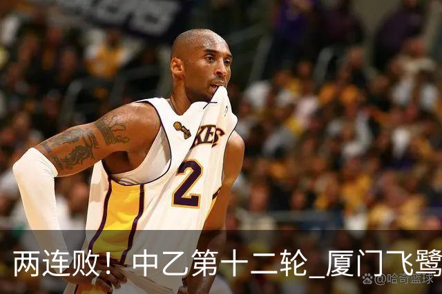 两连败！中乙第十二轮 厦门飞鹭客场0-1贵州贵阳竞技