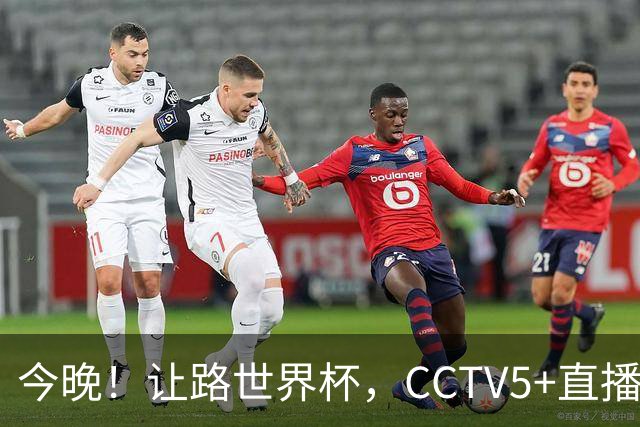 今晚！让路世界杯，CCTV5+直播中国女排VS法国，小将领衔冲击5连胜