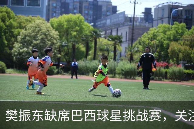 樊振东缺席巴西球星挑战赛，关注欧洲大满贯赛事