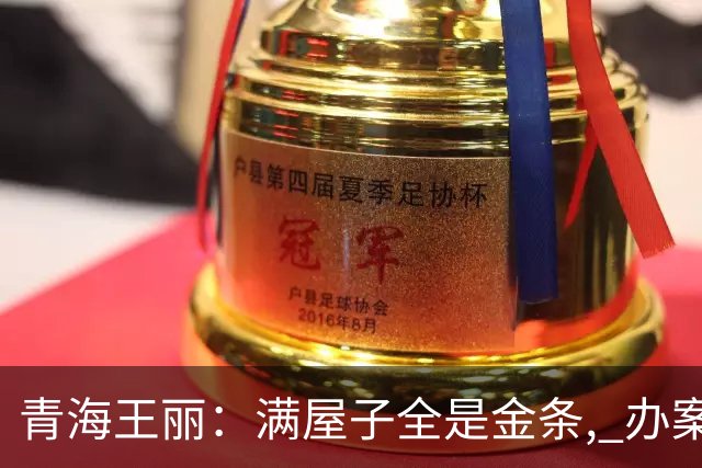 青海王丽：满屋子全是金条, 办案人员数到手抖, 丈夫受不了提前离场