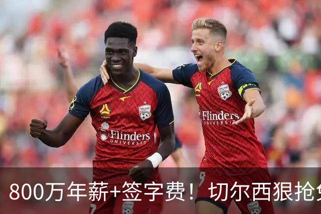 800万年薪+签字费！切尔西狠抢免签神锋，这次是捡宝还是接盘？